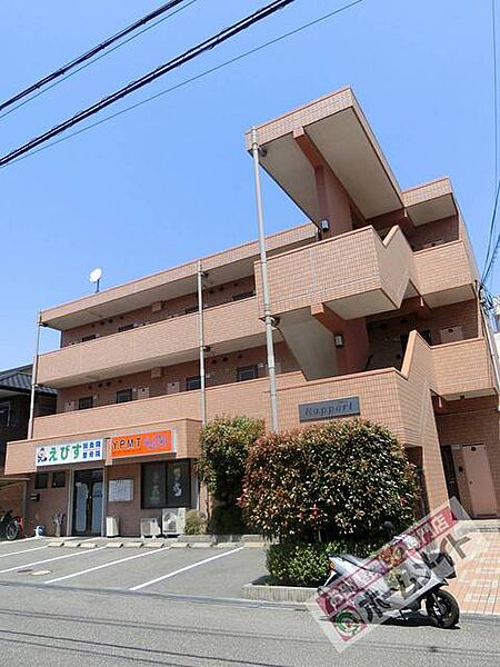 ラポール ｜大阪府堺市北区百舌鳥梅町３丁(賃貸マンション1K・2階・24.00㎡)の写真 その1