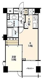 グランコピエ広尾 1LDKの間取図画像
