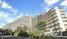 ハイラーク千葉