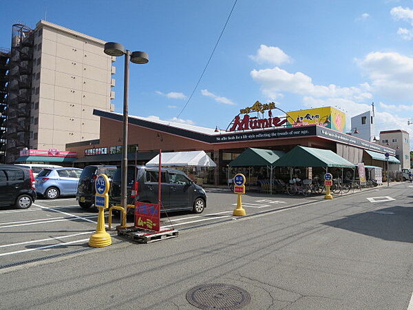 画像21:四季食彩館ムーミー花園店 872m