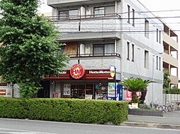 ウィンズ・リリー