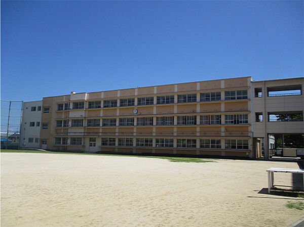 画像17:泉佐野市立第一小学校 698m