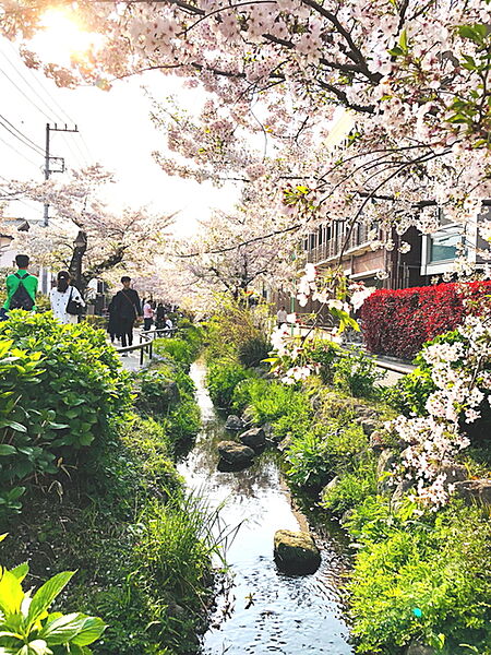 小関ハウス ｜東京都世田谷区代田１丁目(賃貸アパート1R・2階・11.00㎡)の写真 その25