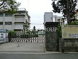 [周辺] 千葉市立新宿中学校 710m