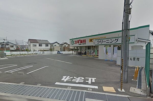 画像29:スギ薬局堺白鷺店 1252m