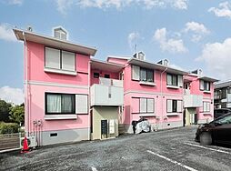 エバーグリーン II