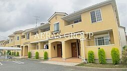 エレガンシアIII