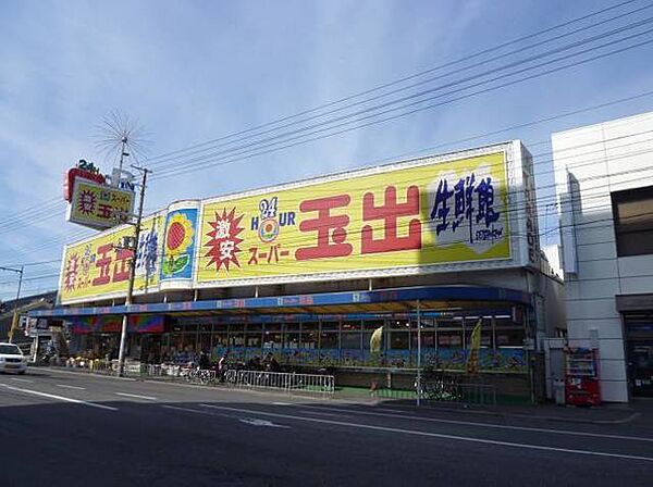 画像27:スーパー玉出堺東店 524m