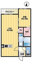 GRANDIS 1LDKの間取図画像
