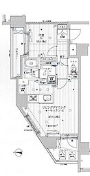 メインステージ浅草入谷2 13階1LDKの間取り