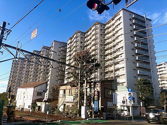 新多摩川ハイム１号棟_トップ画像