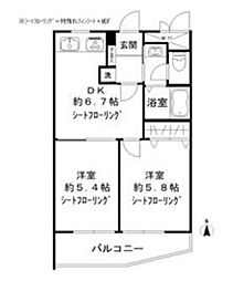 碑文谷メゾン 3階2DKの間取り
