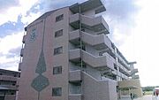 外観・土地