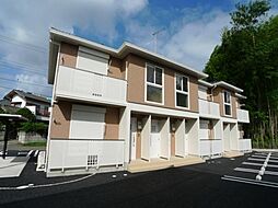 チェリーブロッサム