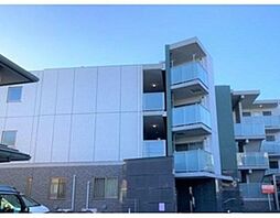 LEO FIOREGALO 印内