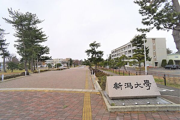 画像28:新潟大学敷地　正面 235m