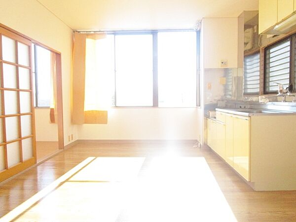 神奈川県海老名市中央１丁目(賃貸マンション2DK・2階・44.16㎡)の写真 その3