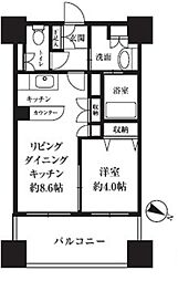 HF西新宿レジデンスウエスト 10階1DKの間取り