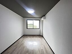 第3メゾンシャンプル 1階ワンルームの室内