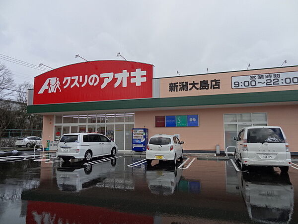 画像30:クスリのアオキ新潟大島店 661m