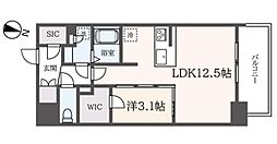 ルネサンスコート錦糸町II 12階1LDKの間取り