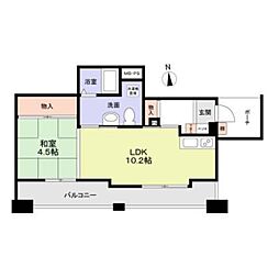 ロハス江坂 10階/1002