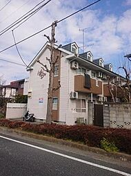 ハイムマンドリン