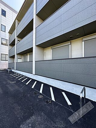 ひまわり_その他_3