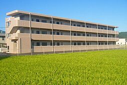 Ｙ＆Ｍ　Ｌｕｘｅ（リュクス）