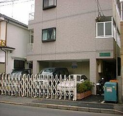 キティー・コーポ