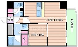 セレニテ梅田北Premium 5階/-