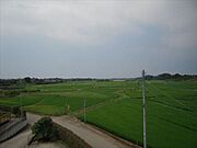 景色