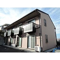 アムール　七国