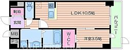 クレールフォレスタ 4階/-