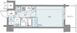 トーシンフェニックス芝アストラーレ 1Kの間取図画像