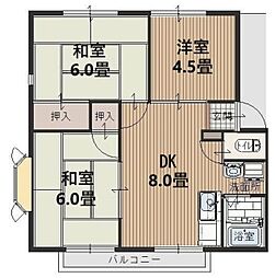 サンハイツ新井E 3DKの間取図画像
