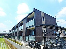 レオネクストサンフラワーIII（53652）
