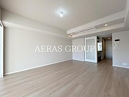 六本木デュープレックスエムズ 304 3階1LDKのリビング/ダイニング