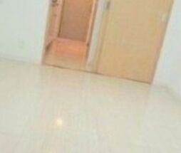 スカイコート武蔵新田 2階1Kのリビング/ダイニング