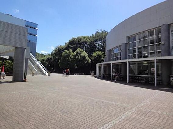 エーリフローレンスB_周辺_3