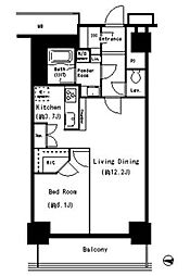 キャナルスクウェア豊洲 6階1LDKの間取り