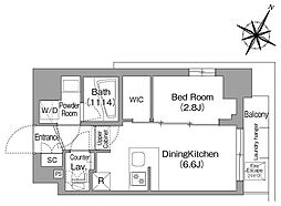 コンフォリア・リヴ新中野サウス 8階1DKの間取り