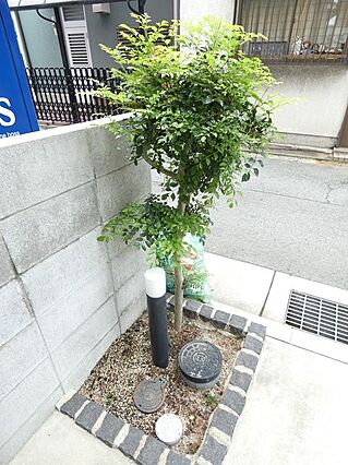 フルハウス尼崎_その他_2