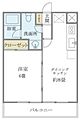 メゾン美羅樹13階11.6万円