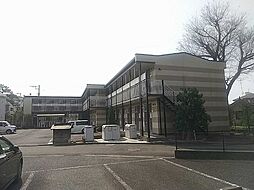 レオパレスピーヌス