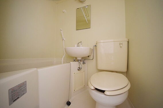 ルミニコスモス_その他_0