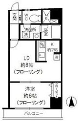 東京メトロ丸ノ内線 新高円寺駅 徒歩4分の賃貸マンション 11階1LDKの間取り