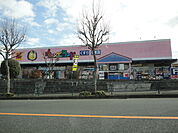 その他小売店 800m