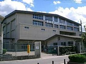 大阪府堺市北区百舌鳥赤畑町３丁（賃貸アパート1LDK・1階・40.56㎡） その24