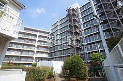 ネオコーポ芦花公園 904